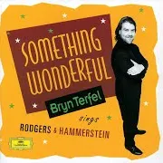Bryn Terfel